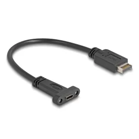   Delock USB 10 Gbps kábel E-típusú A kulcs USB 20 tűs apa - USB Type-C  panel-rögzítős anya 25 cm (85454)