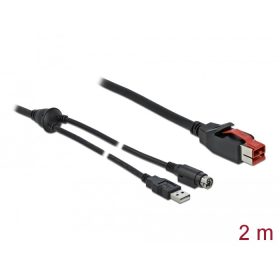   Delock PoweredUSB kábel apa 24 V > A-típusú USB apa + Mini-DIN 3 tűs apa 2 m, POS nyomtatókhoz és cs (85941)