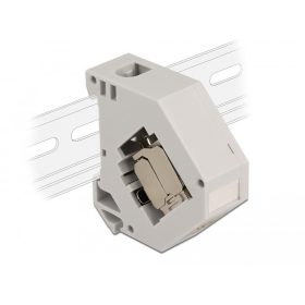   Delock DIN sín adapter Keystone modullal RJ45 anya Cat.6A LSA (86014)