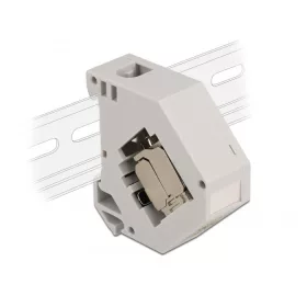   Delock DIN sín adapter Keystone modullal RJ45 anya Cat.6A LSA (86014)