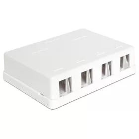 DeLock Keystone falon kívüli doboz (86208)