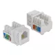 Delock Keystone modul, RJ12-aljzat > LSA Cat.3 UTP, fehér (86498)