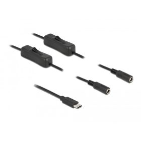   Delock USB Type-C apa – 2 db. DC 5,5 x 2,1 mm anya csatlakozójú kábel 1m (86800)
