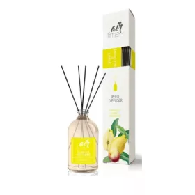   Air Time Reed Diffuser fapálcikás légfrissítő 50 ml Nectarine