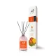 Air Time Reed Diffuser fapálcikás légfrissítő 50 ml Mango