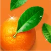 Jar Power Spray Orange 500 ml