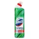 DOMESTOS Protection fertőtlenítő 700 ml Eucaliptus&Wild mint