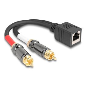 Delock RJ45 adapter kábel apa - 2 x RCA apa fekete, 20 cm