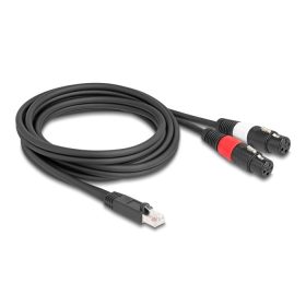  Delock Adapter RJ45 kábel apa - 2 x XLR 3 tűs anya fekete színű 2 m