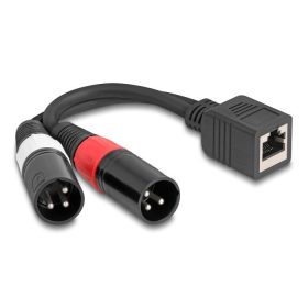   Delock Adapter RJ45 kábel anya - 2 x XLR 3 tűs apa, fekete színű 20 cm