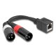 Delock Adapter RJ45 kábel anya - 2 x XLR 3 tűs apa, fekete színű 20 cm