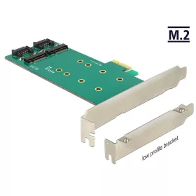   Delock PCI Express kártya > 2 x belső M.2 Key B 110 mm - Alacsony profilú