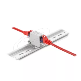   Delock RJ45 toldó Cat.6A szabvány aljzat aljzat porvédő sapkával, DIN sínre szerelhető, nem árnyékolt, szürke / fehér