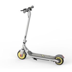 Segway Ninebot ZING C10