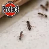 Protect hangyairtó gél 5g
