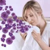 Lenor illatgyöngyök 210g  Amethyst&Floral Bouqet