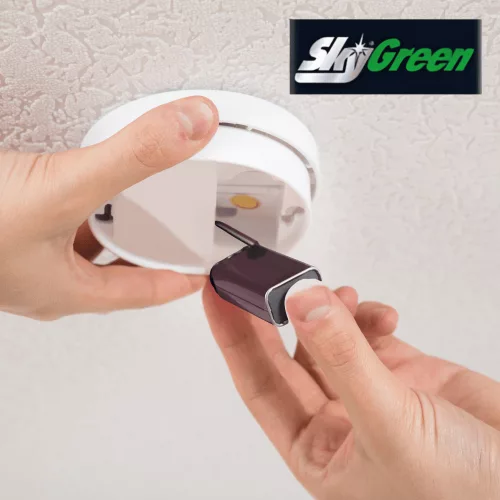 Sky Green féltartós 9V elem GF22G/1 1darab (10db/doboz)