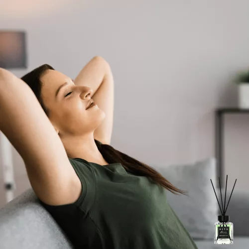 Alya Nature's Scent Reed diffuser pálcikás illatosító Bergamot tea illat 100 ml