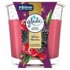 Glade illatgyertya - Winter Berries 112g
