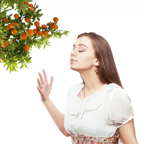 Glade elektromos légfrissítő utántöltő 20ml Fresh Mandarin Dream