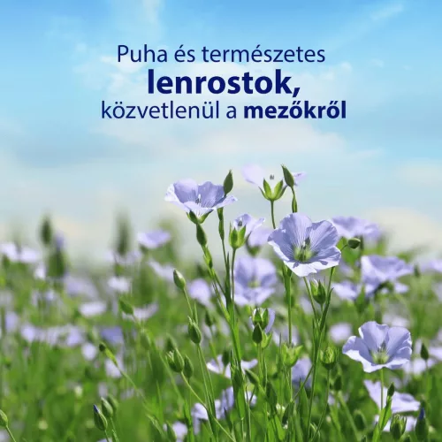 Zewa nedves toalettpapír Natural Camomile 42db/csomag