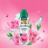 Coccolino Illatfokozó Elixir mosóparfüm 460ml - FIRST BLOOMS