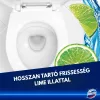 Domestos Power5 WC-frissítő blokk 3x50g Lime