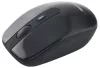 ESPERANZA 2.4GHZ WIRELESS SET USB LIBERTY BLACK