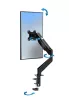 Esperanza asztali monitortartó gázrugóval 17"-27  FONOS