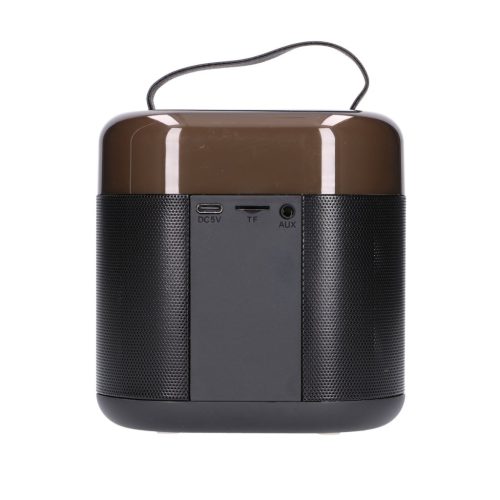 EXTRALINK KIDS KARAOKE LED SPEAKER 2 MICROPHONES BLACK