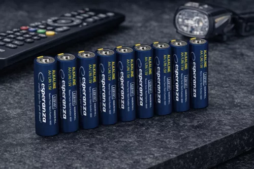 ESPERANZA ALKALINE BATTERIES AA 10PCS. FOIL WRAPPED WITH TAG
