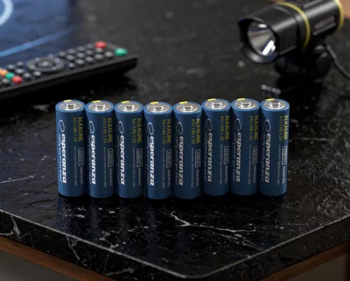 ESPERANZA ALKALINE BATTERIES AA 10PCS. SHRINK FOIL WRAPPED