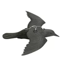 Erkélyre