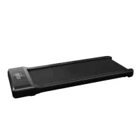 Gyaloglópad