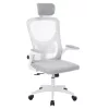 Ergonomikus irodai szék deréktámasszal, fejtámlával, szürke