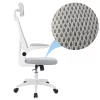 Ergonomikus irodai szék deréktámasszal, fejtámlával, szürke