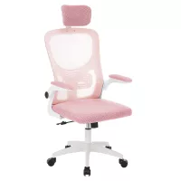 Ergonomikus