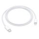APPLE USB-C to Lightning Cable (1m)