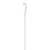 APPLE USB-C to Lightning Cable (1m)