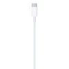 APPLE USB-C to Lightning Cable (1m)