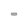 USB-C to Lightning Adapter