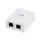 Logilink Cat.6A Felületre szerelhető doboz 2 x RJ45, árnyékolatlan (NP0101)