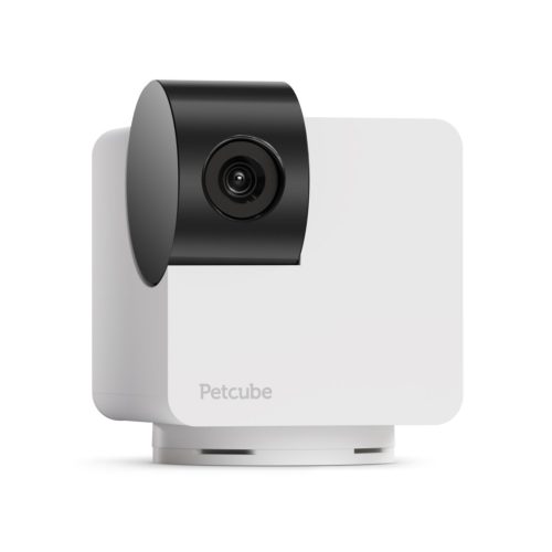 Petcube Cam 360 | Interactive pet monitoring camera | WiFi, 1080p, 360°
