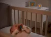 Philips Avent DECT Bébiőr SCD715/52