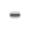 Apple Thunderbolt 3 to Thunderbolt 2